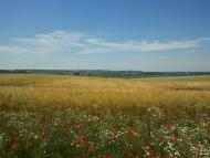 Мізоч з panoramio.com