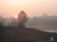 Чапля з panoramio.com