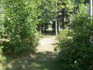 Gorikhove - Latest photos