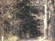 Маньківка з panoramio.com