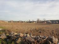 Лозова - Останні фото