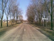 Поляна з panoramio.com