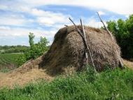 Олексіївка з panoramio.com