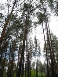 Пархоменко з panoramio.com