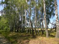 Півнівщина з panoramio.com