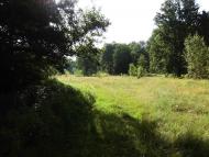 Ганнусине з panoramio.com