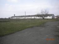 Кам'яне з panoramio.com