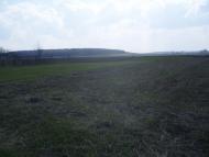 Спасів з panoramio.com