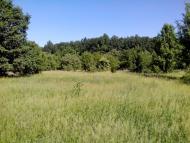 Пугачівка з panoramio.com