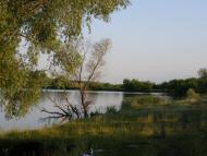 Бессарабівка - Останні фото