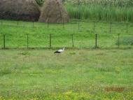 Лунка з panoramio.com