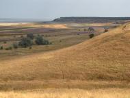 Шелюги з panoramio.com