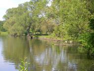 Півнівщина з panoramio.com