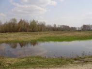 Травневе з panoramio.com