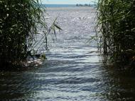 Чапаєвка з panoramio.com