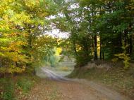 Лисогора з panoramio.com