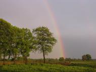 Дмитрів з panoramio.com