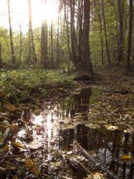 Діброво-Ленінське з panoramio.com