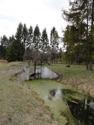 Котів з panoramio.com