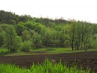 Кип'ячка з panoramio.com