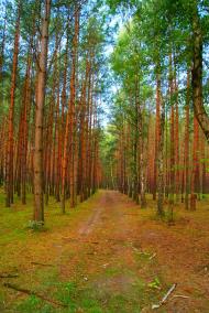 Семки - Последние фото