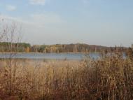 Карасин з panoramio.com