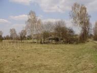 Травневе з panoramio.com