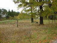 Попільня - Останні фото