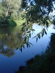 Старовойтове з panoramio.com