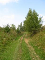 Крутнів з panoramio.com