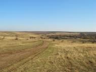 Новоолексіївка з panoramio.com