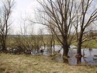 Травневе з panoramio.com