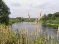 Криничне з panoramio.com