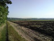 Немирівське з panoramio.com