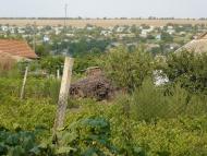 Елизаветовка - Последние фото