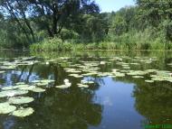 Красна Лука з panoramio.com