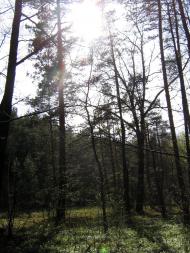 Понінка з panoramio.com