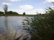 Гроза - Останні фото