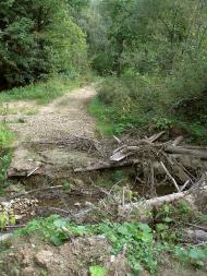 Орів з panoramio.com