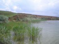 Червоний Яр з panoramio.com