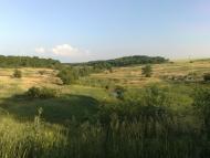 Вереміївка - Останні фото