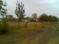 Землянка - Останні фото