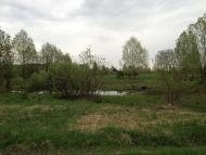 Фасова з panoramio.com