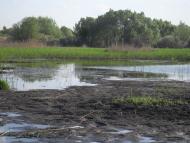 Мала Дівиця з panoramio.com