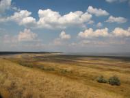 Шелюги з panoramio.com