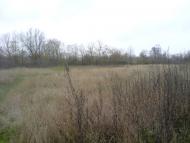 Немирівське з panoramio.com