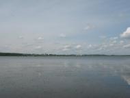 Коростовичі з panoramio.com