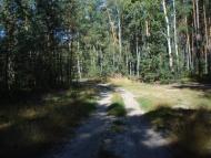 Мирча з panoramio.com