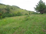 Перевальськ з panoramio.com