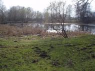 Цурків з panoramio.com